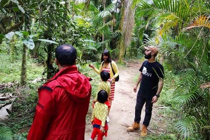 Santos Shore Excursion: Full Day Rain Forest Indian Reservation