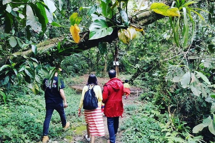 Santos Shore Excursion: Full Day Rain Forest Indian Reservation