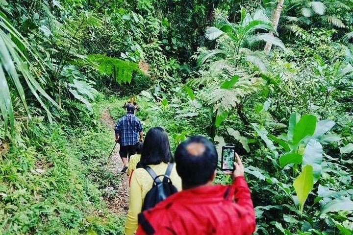 Santos Shore Excursion: Full Day Rain Forest Indian Reservation