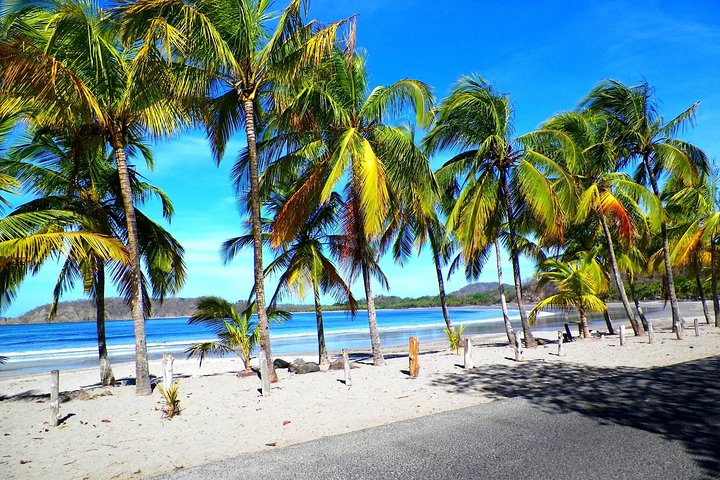 Private Transfer From Liberia Airport To Playa Samara- Playa Carrillo