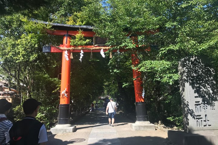 Uji: Private immersion into Kyoto's tea and reglious culture