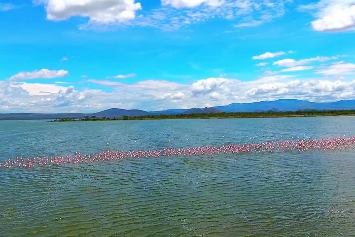 2 Days Lake Elementaita National park Safari