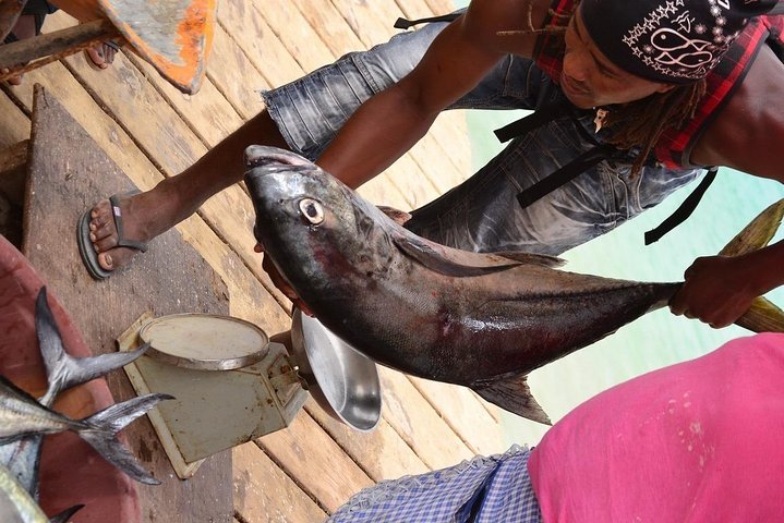 Sal Island Full-Day Tour with Native Certified Guide