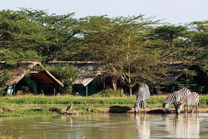 2 Days Lake Elementaita National park Safari