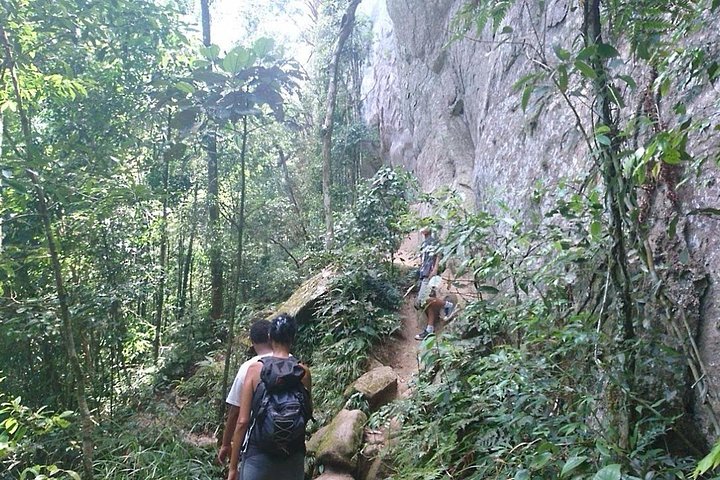 Ilha Grande: Pico do Papagaio - Private Hike - Sunrise or Daytime