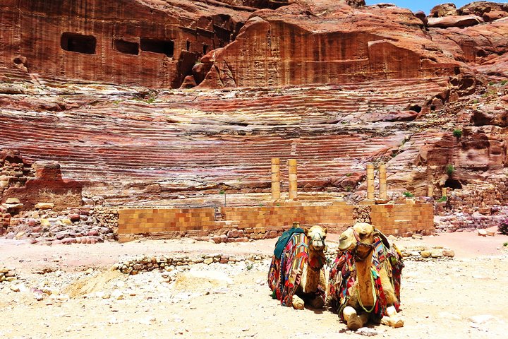 Jordan Private Transportation | The Jordanian Mappers