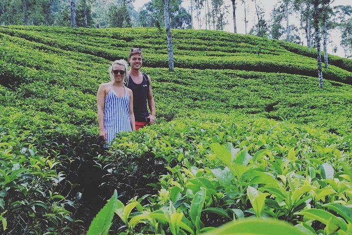Adam's peak (Sri pada) Waterfalls tour