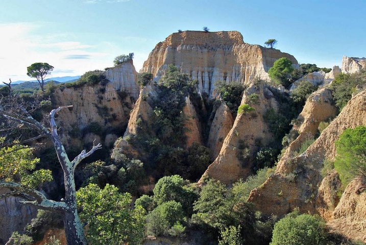 Discovery of Organs: exploration, fauna, flora, geology