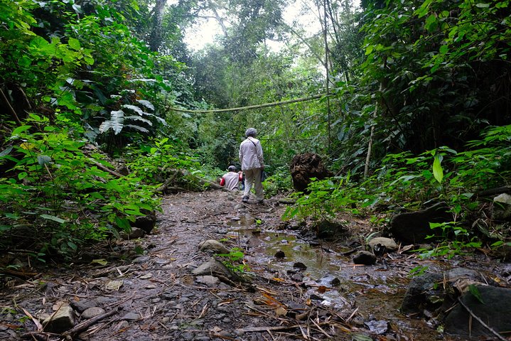 The rain forest, surroundings & lunch.