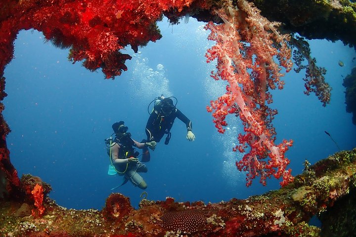 Bali Diving for Beginners: Tulamben Liberty Wreck