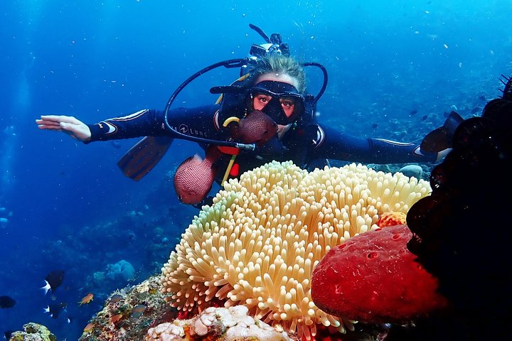 Bali Diving for Beginners: Tulamben Liberty Wreck
