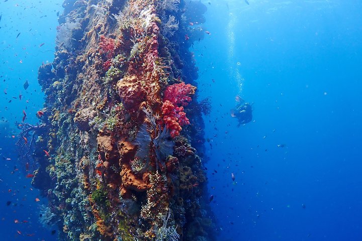 Bali Diving for Beginners: Tulamben Liberty Wreck