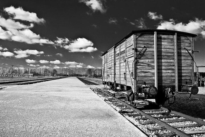 Krakow to Auschwitz Birkenau Guided Tour with Transfer and Ticket