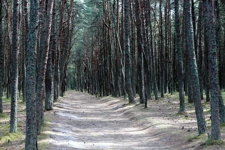 Day Tour to Curonian Spit a Treasure on the Baltic Sea