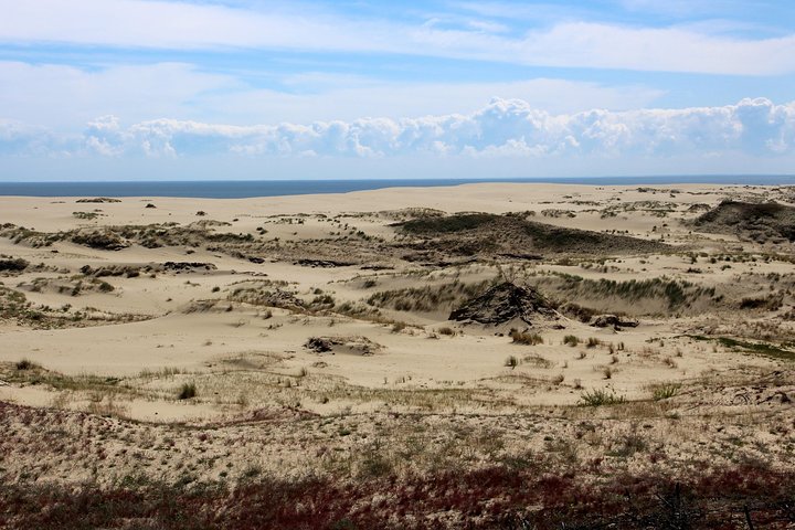 Day Tour to Curonian Spit a Treasure on the Baltic Sea