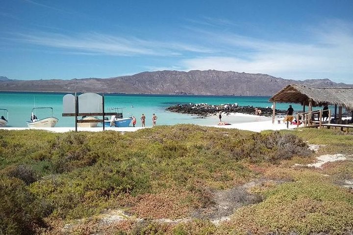 Best Tour to Coronados Island