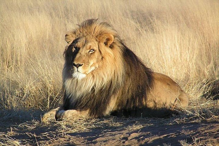 6 DAYS ETOSHA,SWAKOPMUND & SOSSUSVLEI- NAMIBIA (Lodging)
