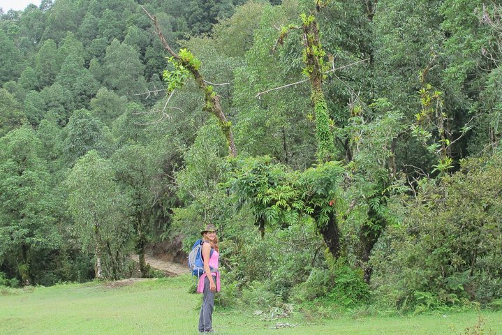 2-Day Private Trekking Tour to Australian Camp & Dhampus