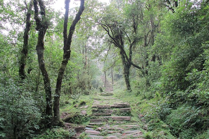 2-Day Private Trekking Tour to Australian Camp & Dhampus