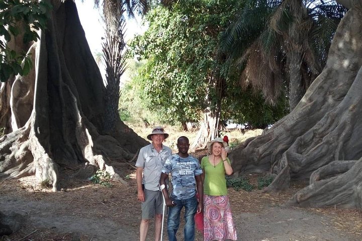 Senegal and Gambia 8 days 7 nights trip. Minimum 2 people