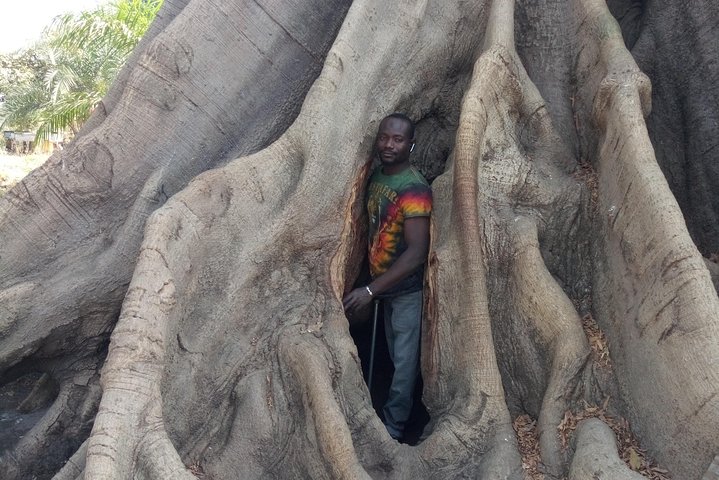 Senegal and Gambia 8 days 7 nights trip. Minimum 2 people
