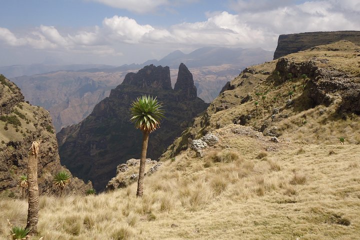4 Days Simien Mountains Trekking