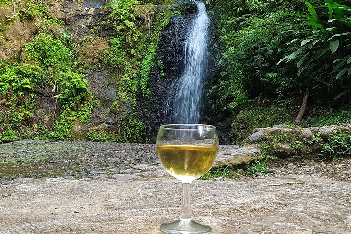 Martinique flavors in the rainforest and St Pierre - Pile et Face