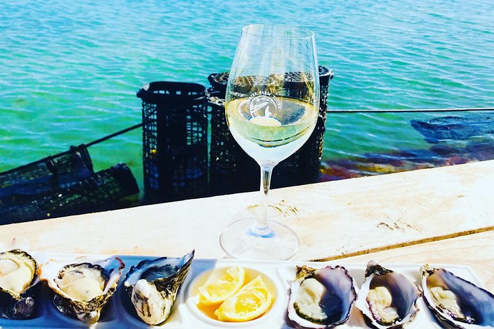 Oyster Farm Tour with Hotel Pick-up and return from Port Lincoln