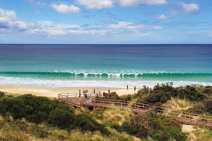 All Inclusive Bruny Island Day Tour Plus Guided Lighthouse Tour
