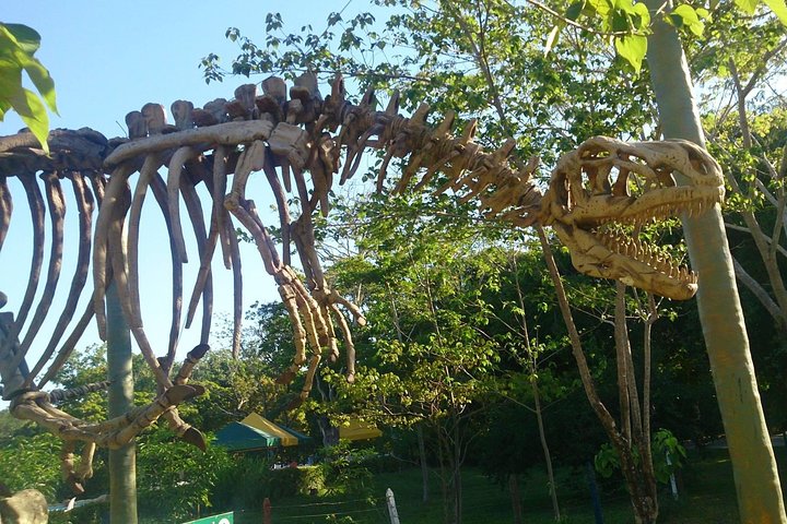Tour to the Hacienda Nápoles Theme Park
