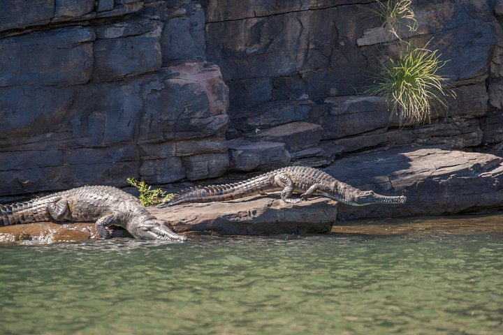 Ord River Discoverer Cruise with Sunset