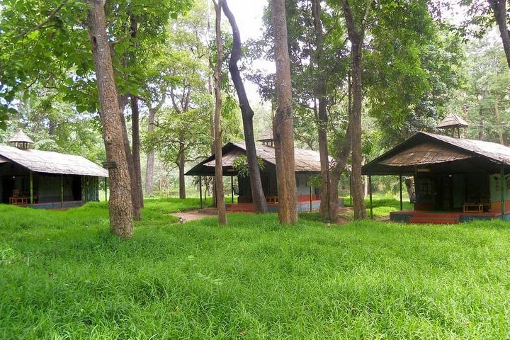 Coimbatore to Parambikulam Jungle Safari & Trekking Tour