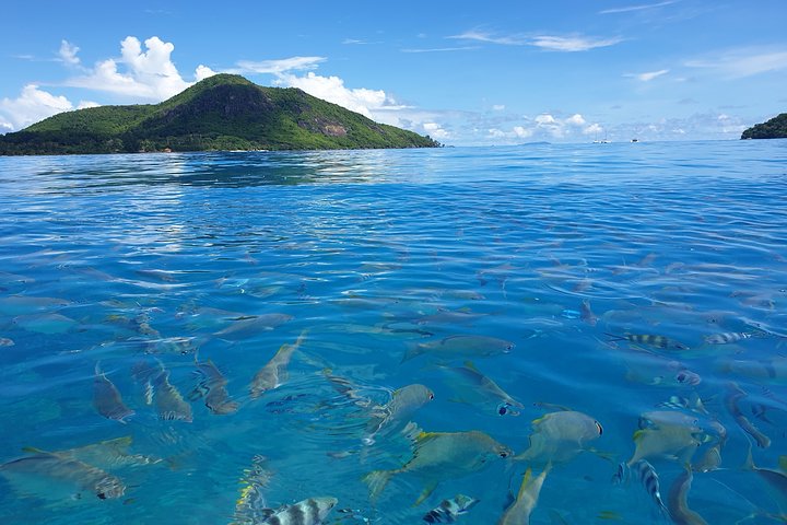 Saint Anne Marine Park Private Boat Tour