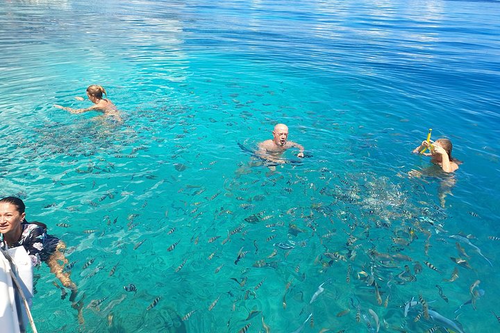 Saint Anne Marine Park Private Boat Tour