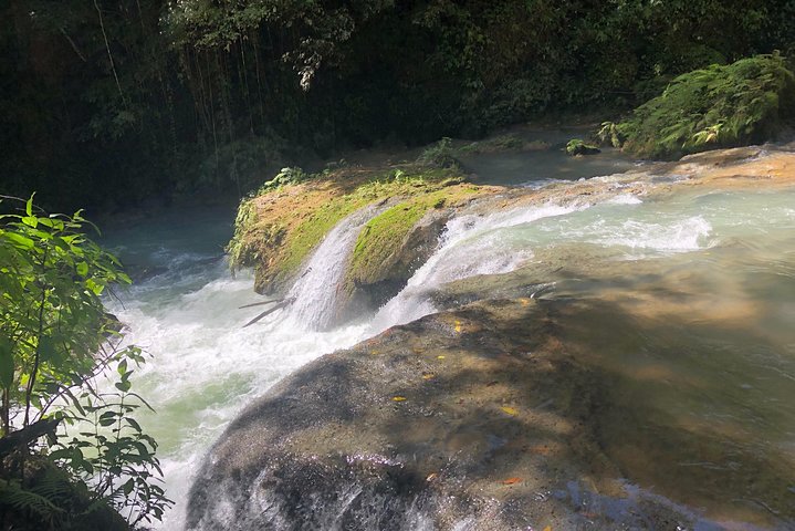 South Coast Jamaica YS Falls Tour
