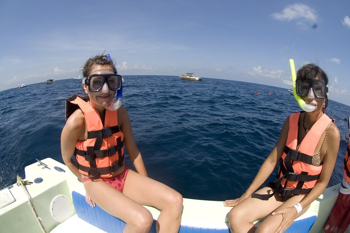 Whale Sharks Small-Group Tour in Cancun and Riviera Maya