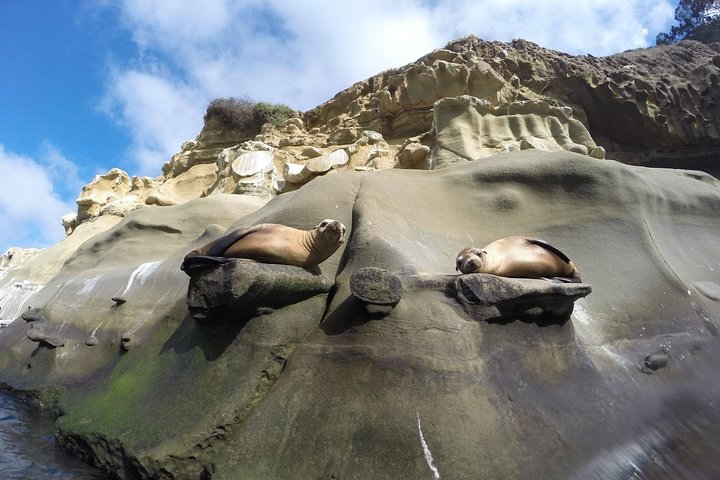 La Jolla Sea Caves Kayak Tour For Two (Tandem Kayak)