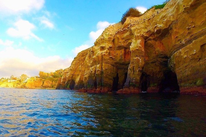 La Jolla Sea Caves Kayak Tour For Two (Tandem Kayak)
