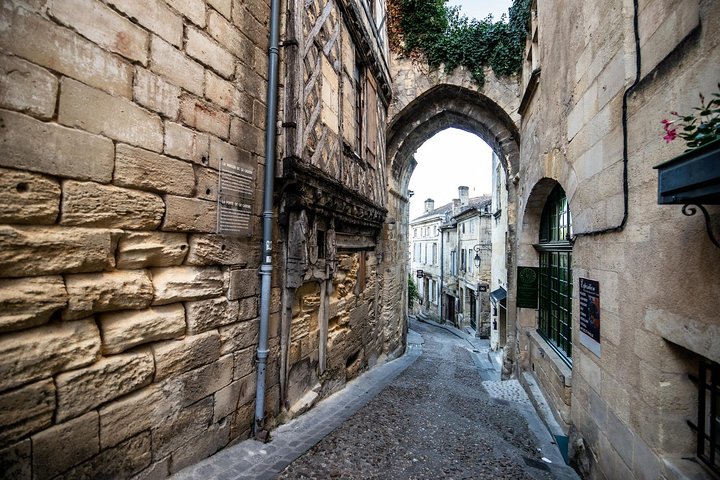 From Saint-Emilion : Electric Bike Day Tour with Wine Tastings and Picnic Lunch