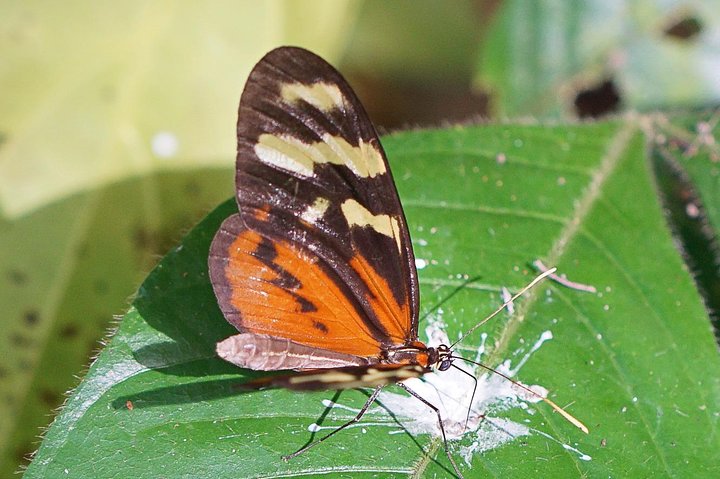 Soberania National Park Hike