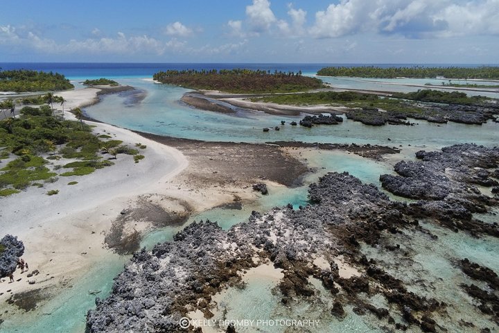 Reef island private tour