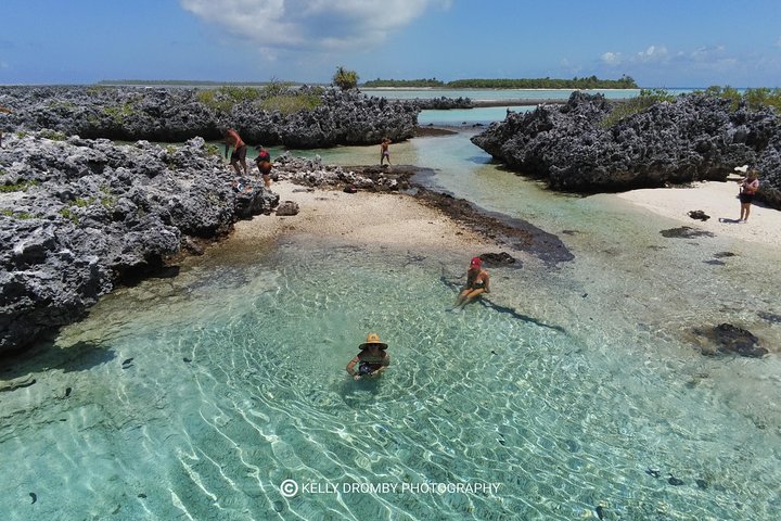 Reef island private tour