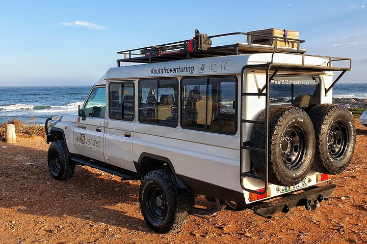 Addo Elephant National Park All Inclusive Full-Day Safari
