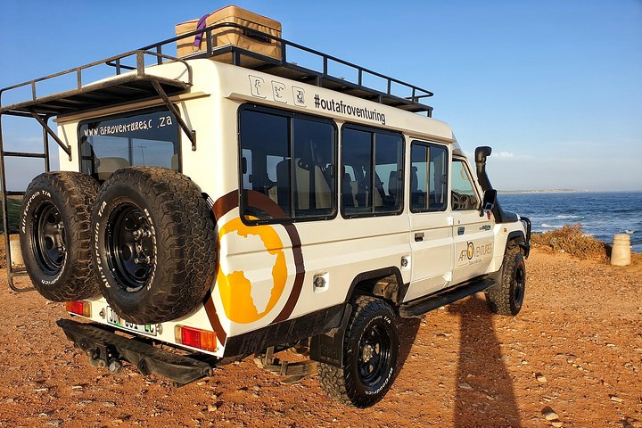 Addo Elephant National Park All Inclusive Full-Day Safari