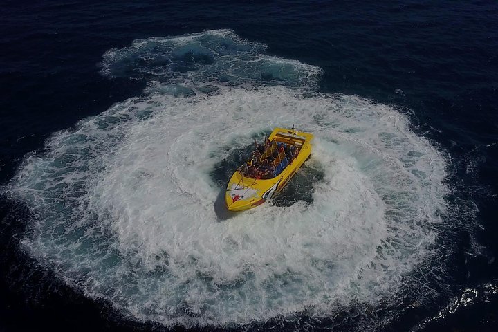 High Speed Harbor Tour from Charlotte Amalie Cruise Port