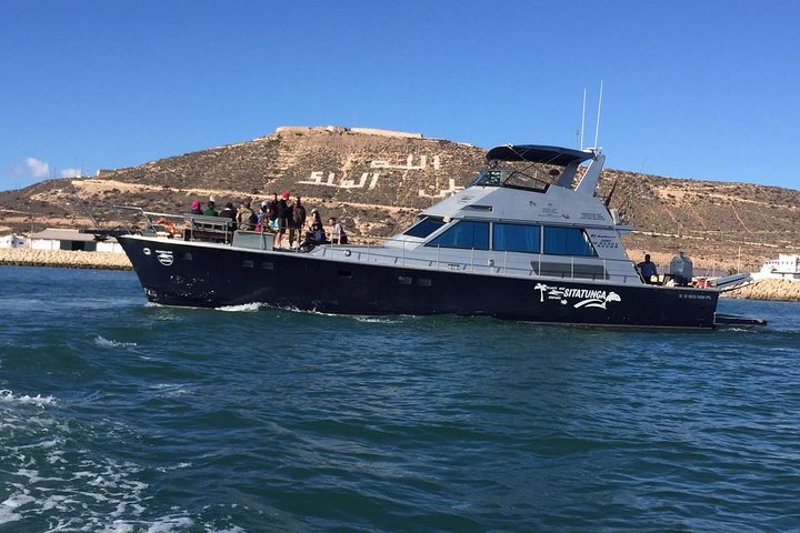 Boat Trip & Breakfast in Agadir