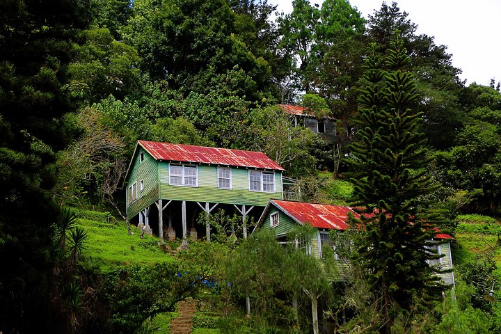 San Juancito Minero