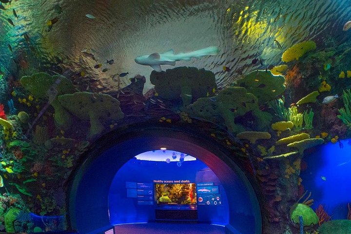 New York Aquarium Admission