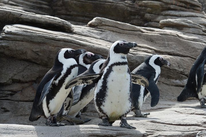 New York Aquarium Admission