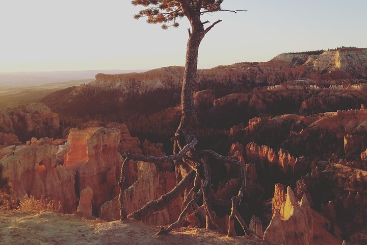 Bryce Canyon National Park: Private Guided Hike & Picnic